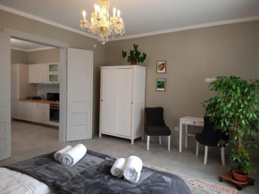 Dragos Voda Apartment Cluj